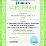 Сертифікат від "Всеосвіта"