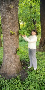 0-02-05-d886ddf055f481ce1207a403268959882f3242f5b0128e5a9ea3018a3fcf41d1_208fe908ae72d384