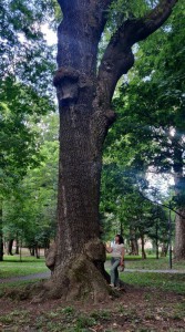 photo_2024-08-08_20-17-37